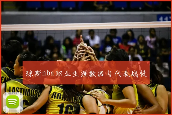 琼斯nba职业生涯数据与代表战役