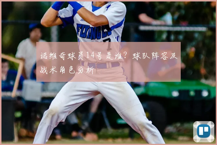 诺维奇球员14号是谁？球队阵容及战术角色分析