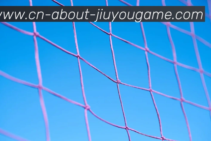 J9九游APP 封面图